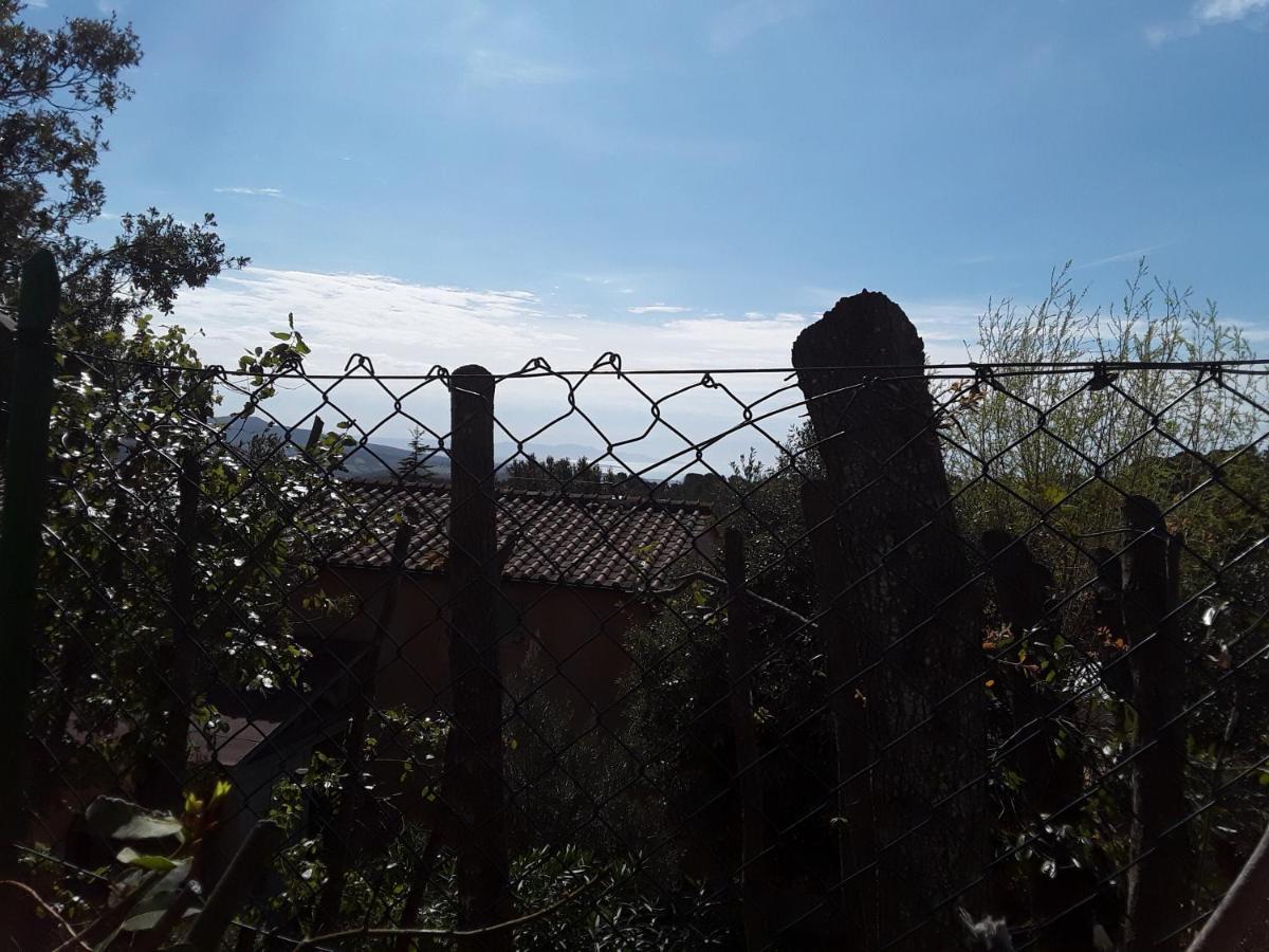 Villetta A Schiera Nei Pressi Del Mare Livorno Exterior foto
